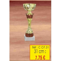 COUPE : REF. CO7 - 31 CM